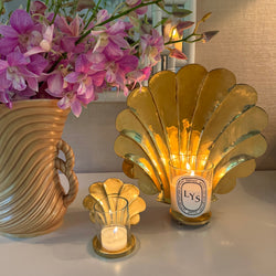 Brass Scallop Shell Candleholder  ~ various sizes